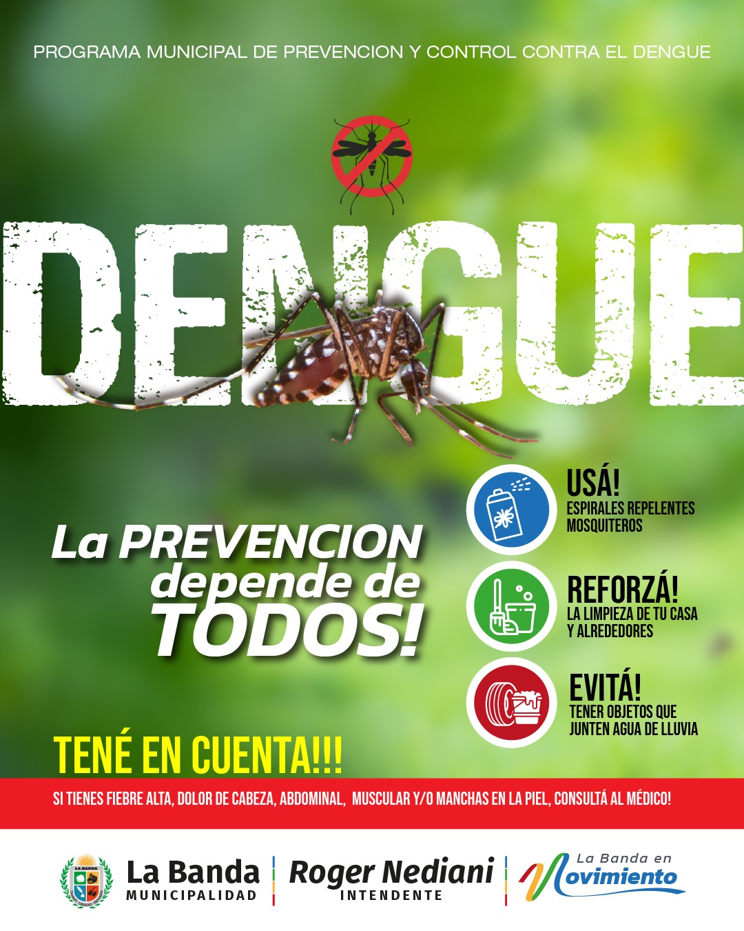 El Municipio Realizará Una Intervención Pública Para Prevenir El Dengue